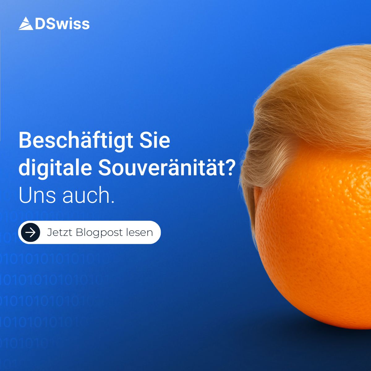 DSwiss AG ad