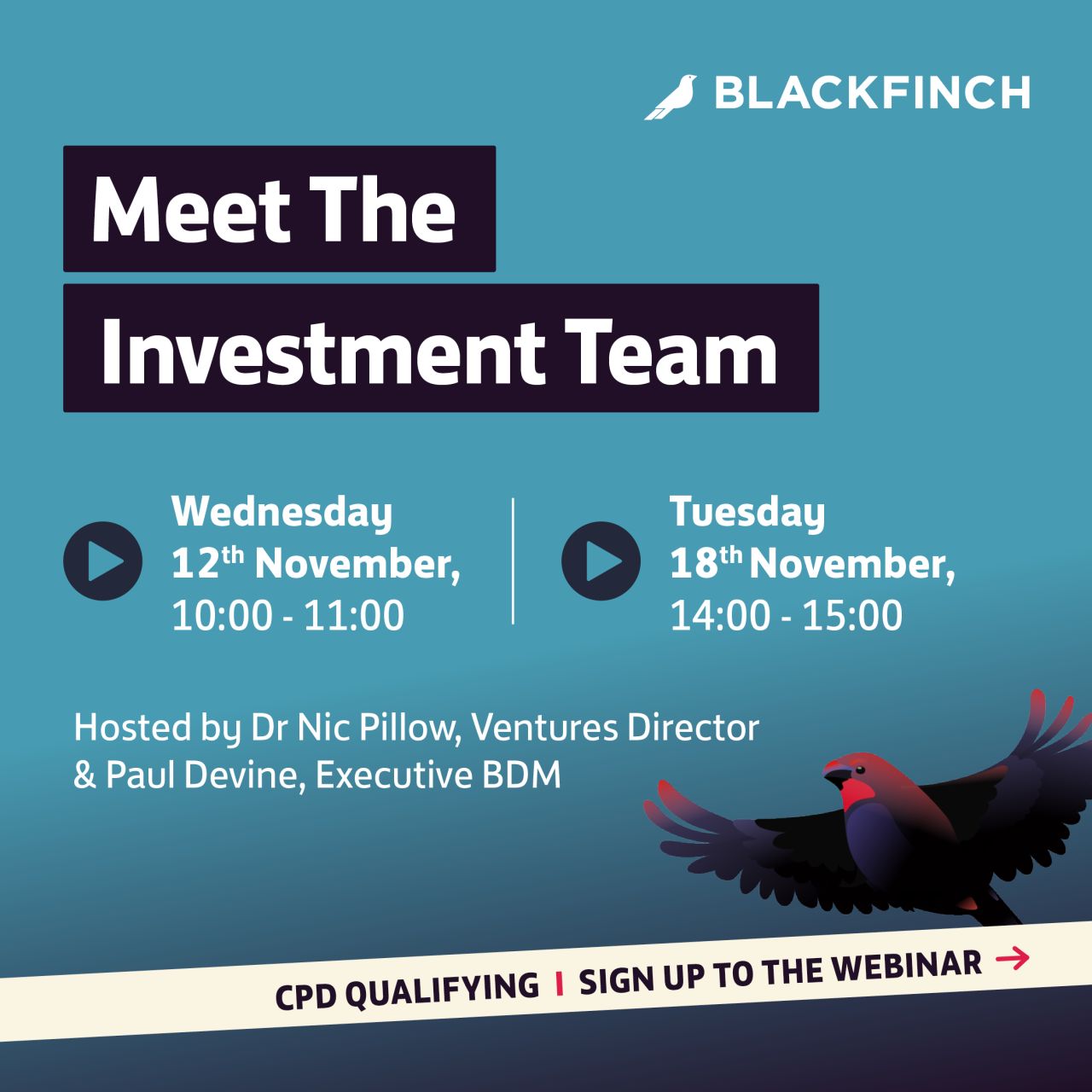 Blackfinch Group ad