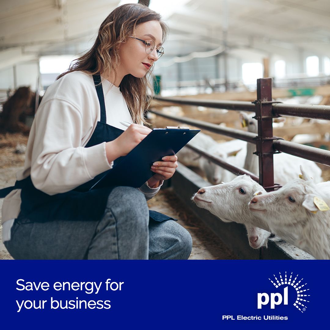 PPL Electric Utilities ad