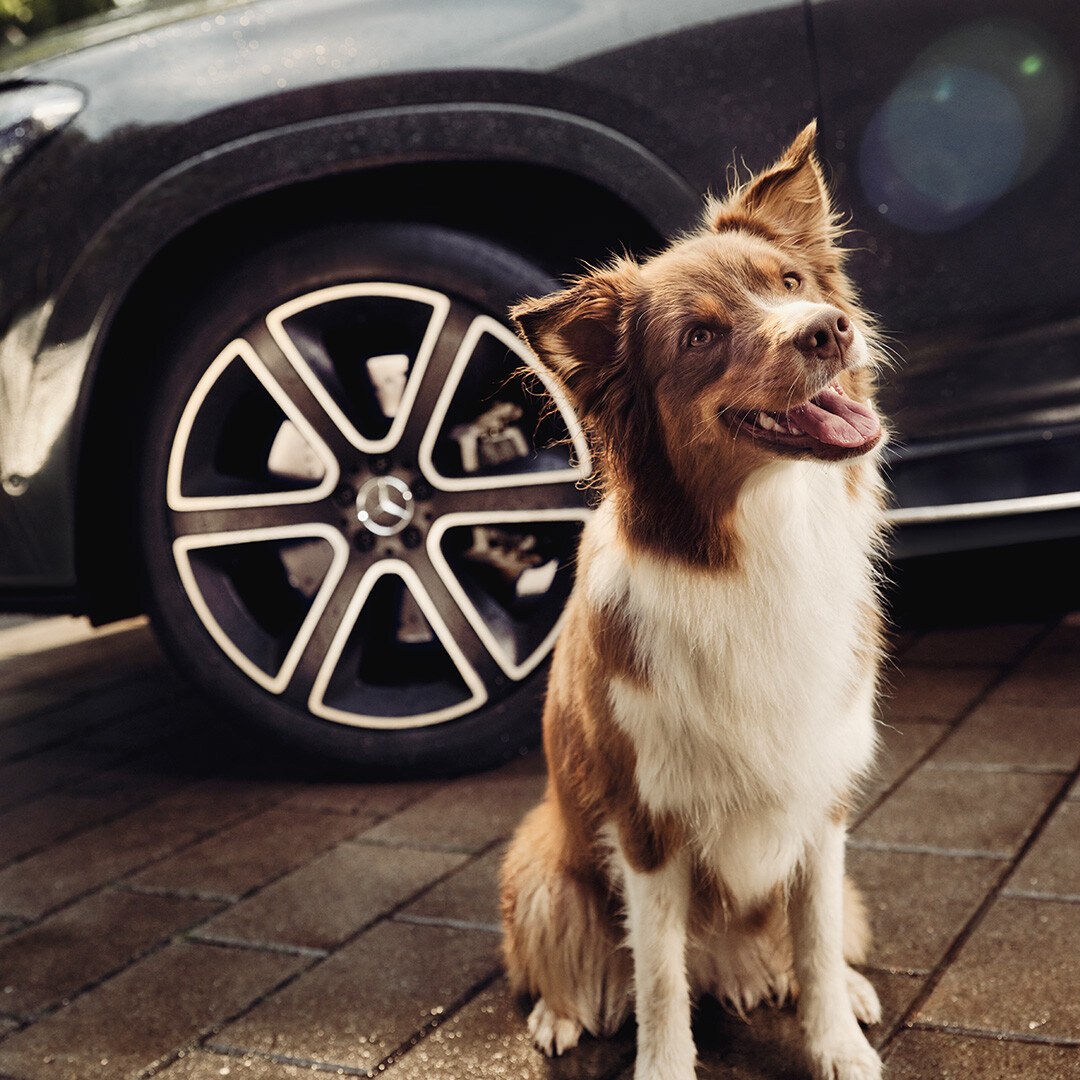 Mercedes-Benz South Africa ad