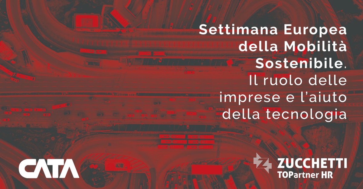CATA1 | Soluzioni Informatiche di Qualità ad