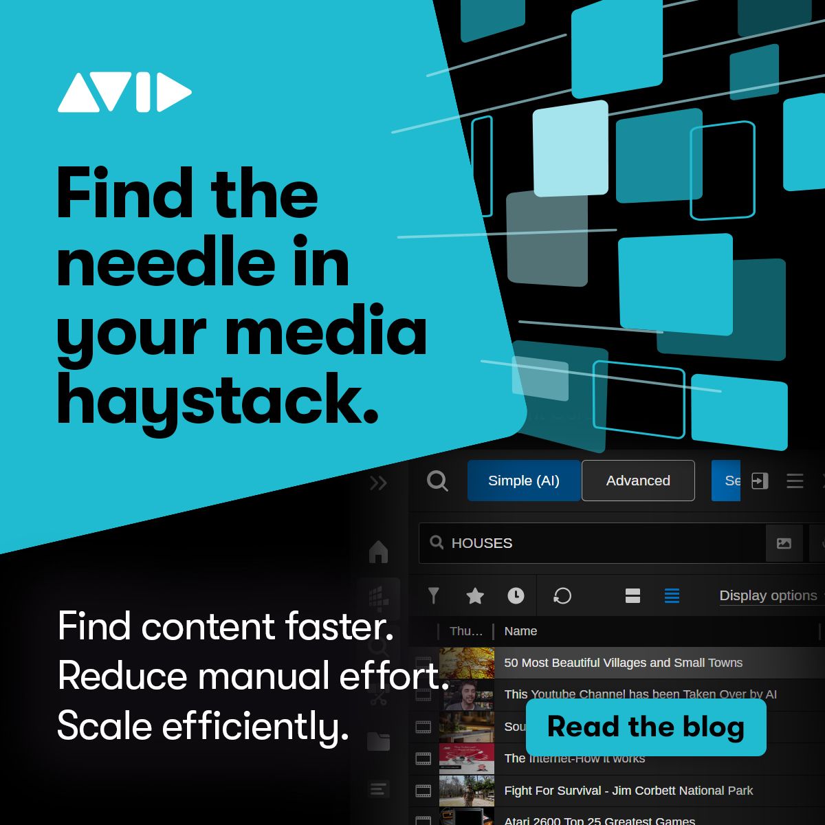 Avid ad