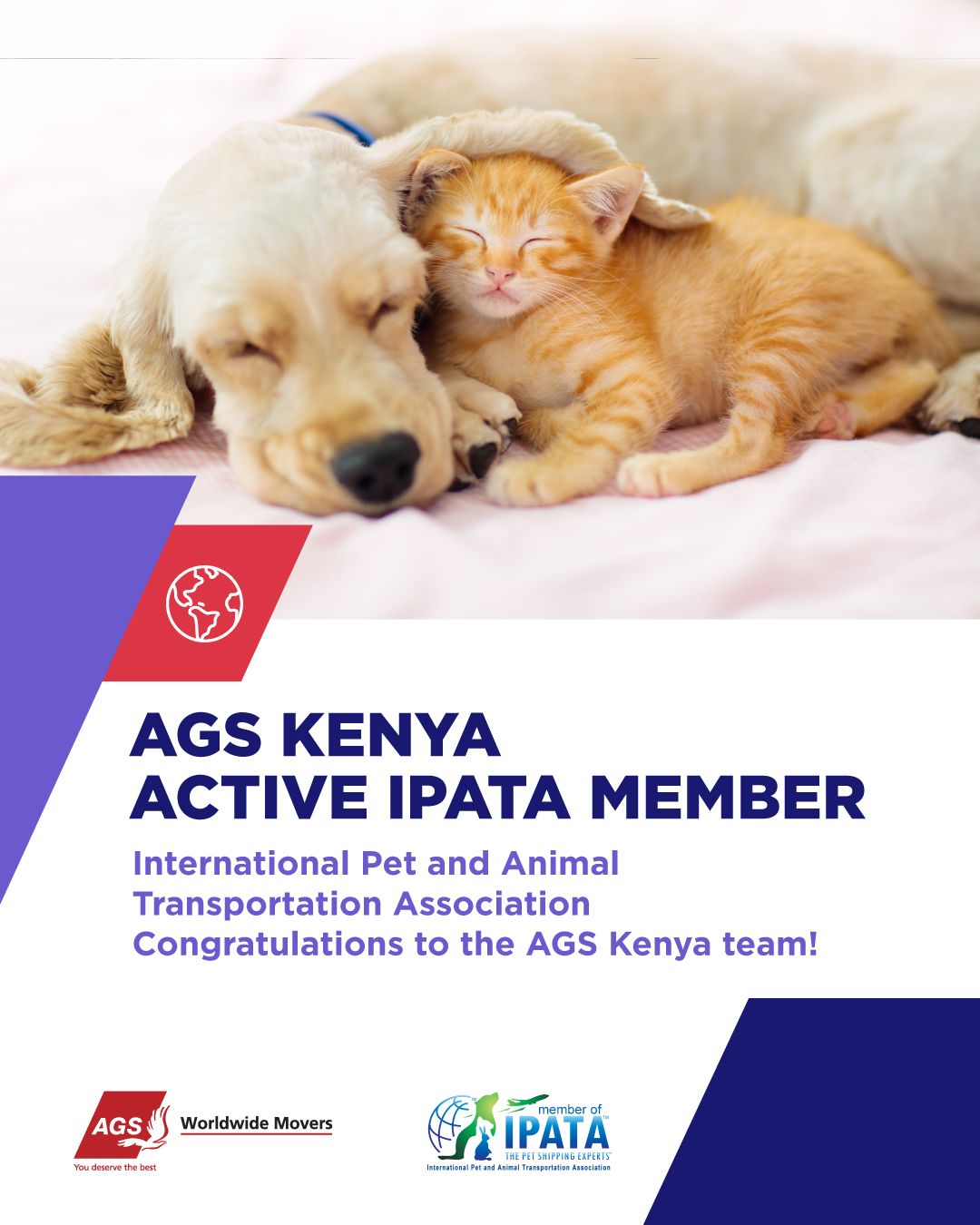 AGS Movers ad