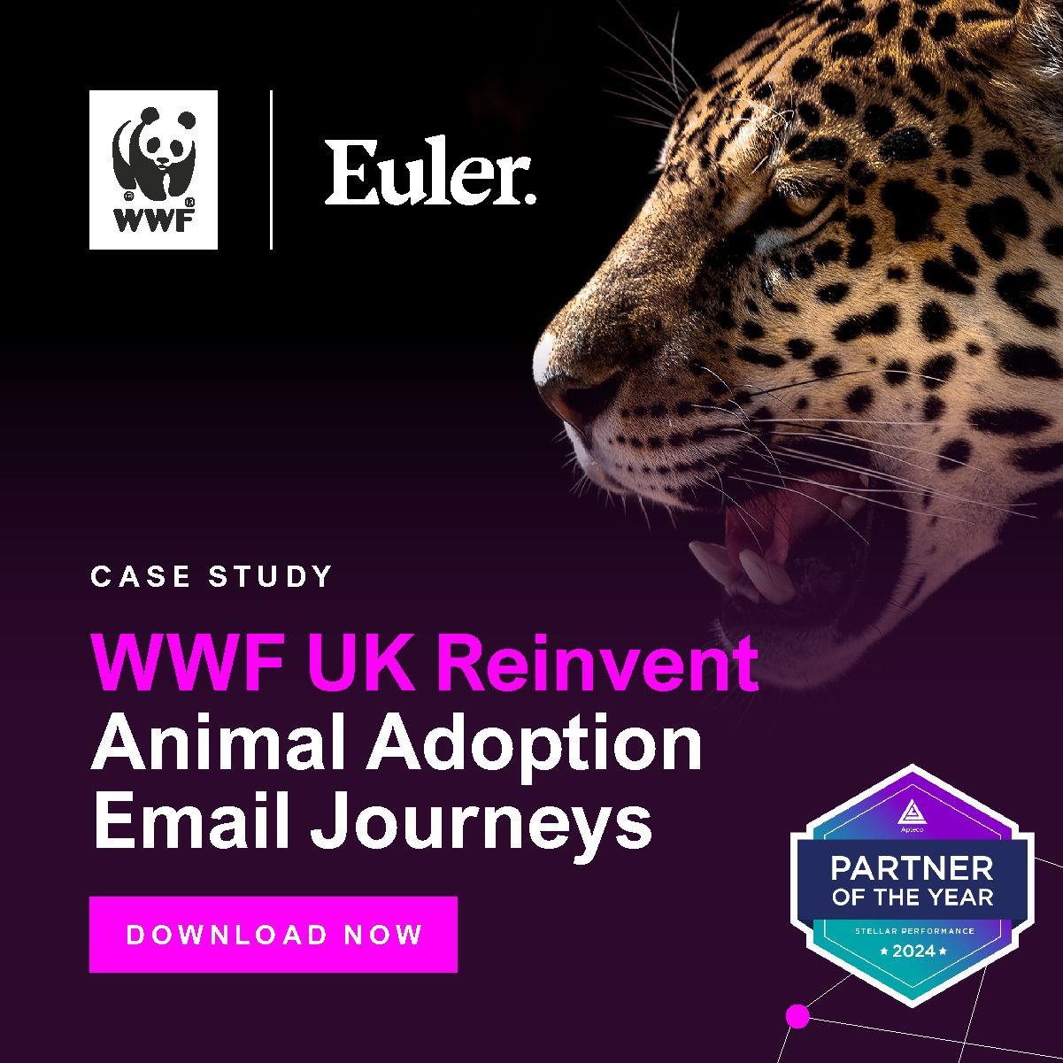 Euler ad