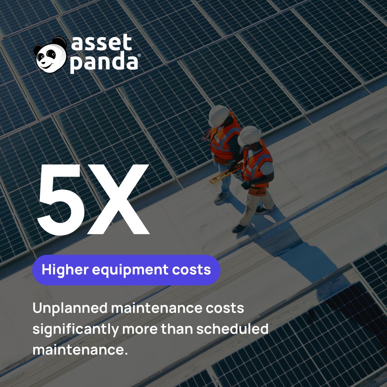 Asset Panda ad