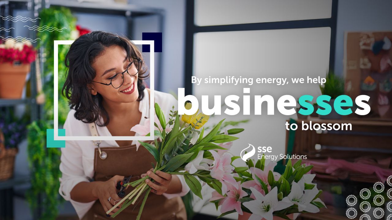 SSE Energy Solutions ad