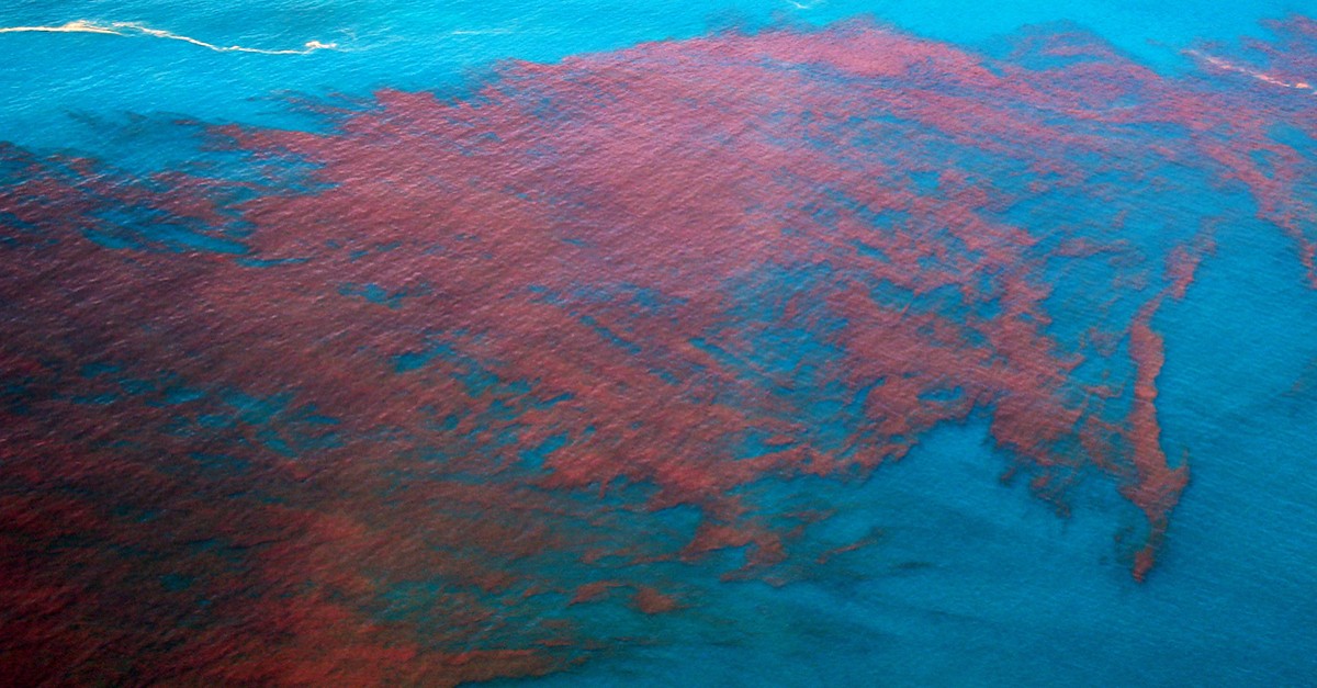 Cayman Chemical ad