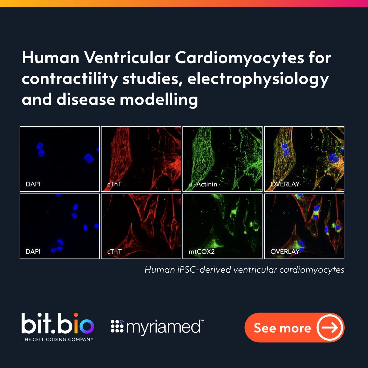 bit.bio ad