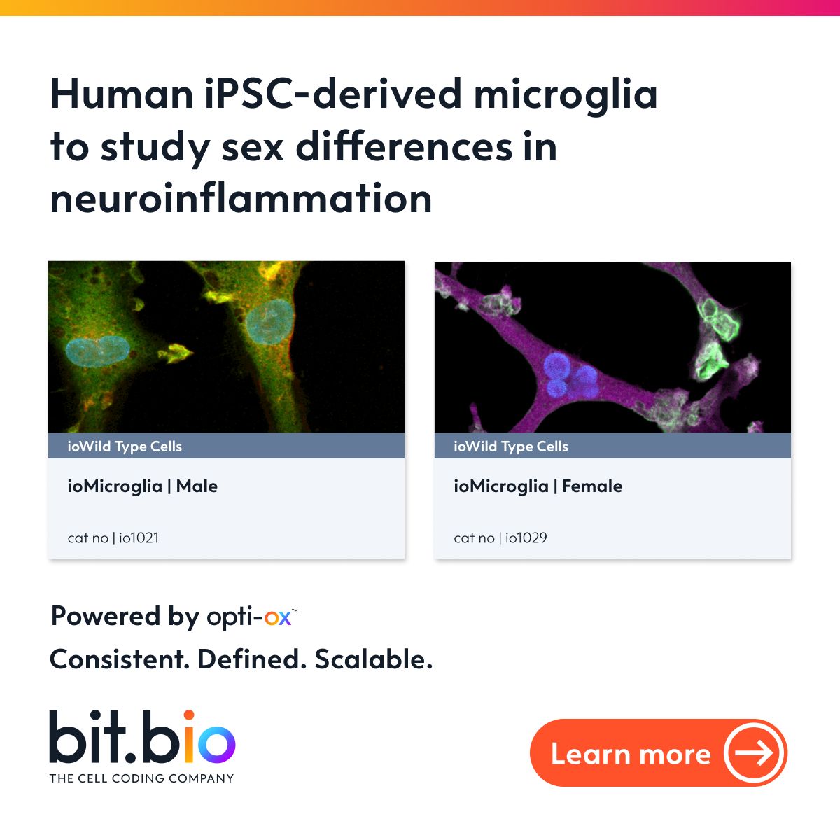 bit.bio ad