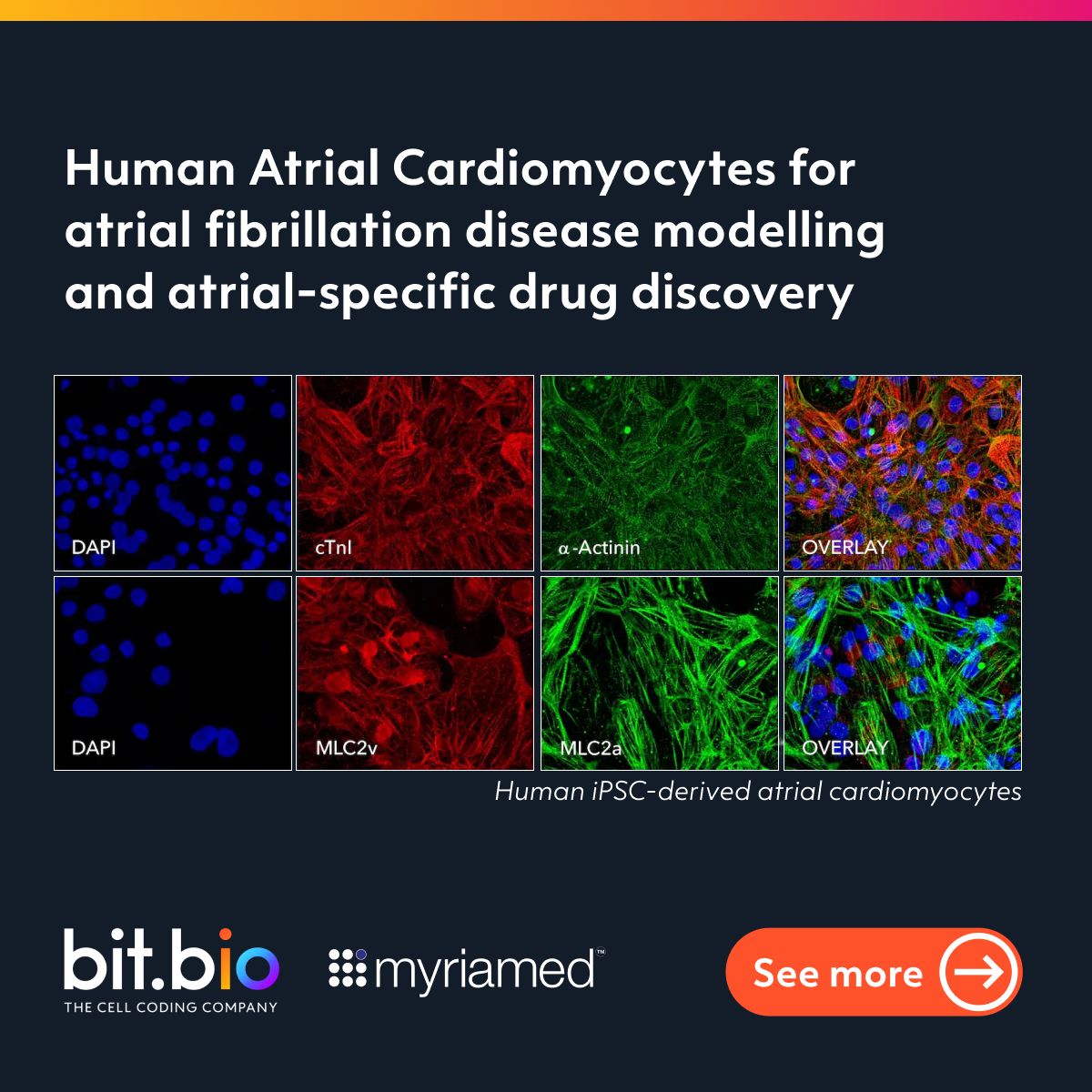 bit.bio ad