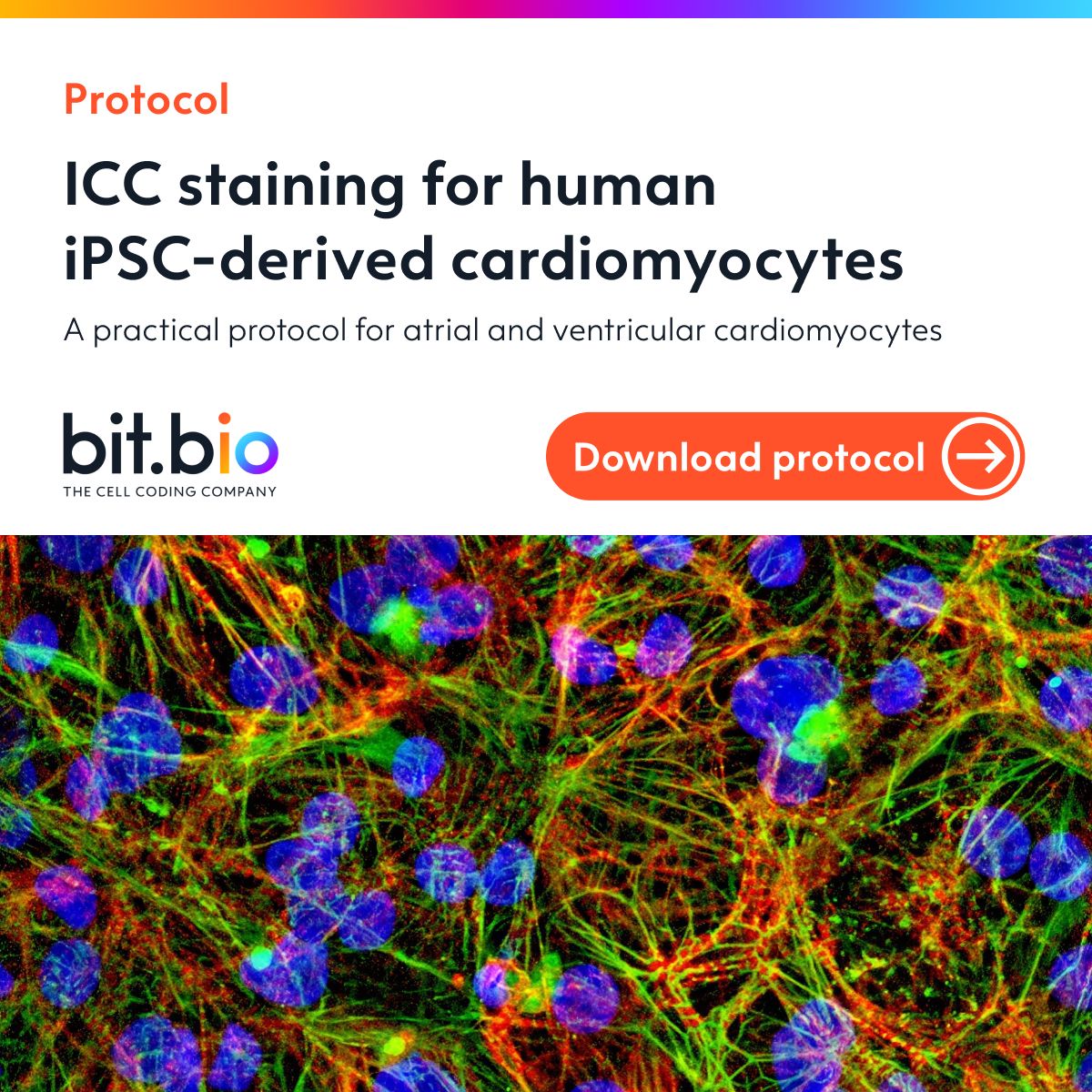 bit.bio ad