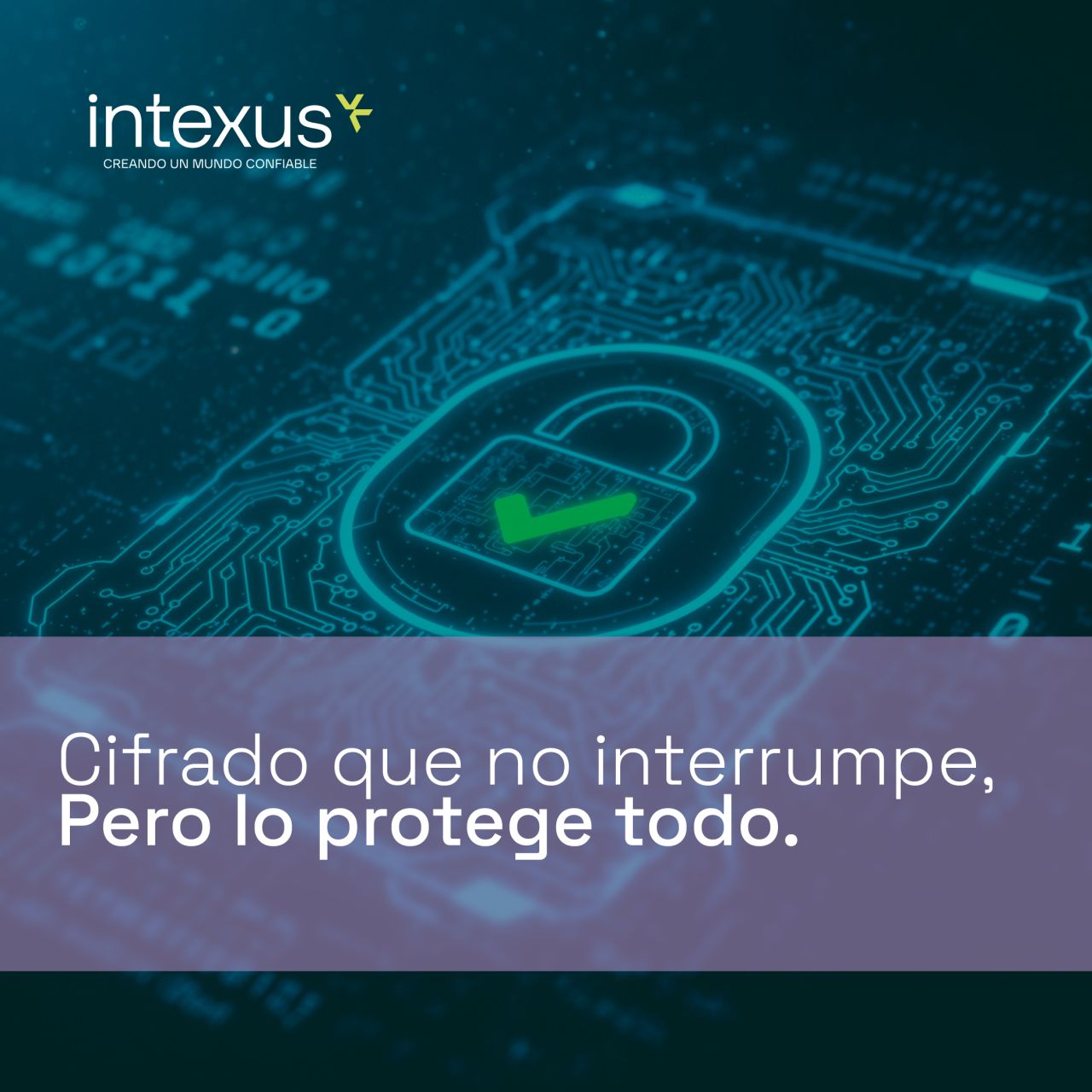 Intexus ad