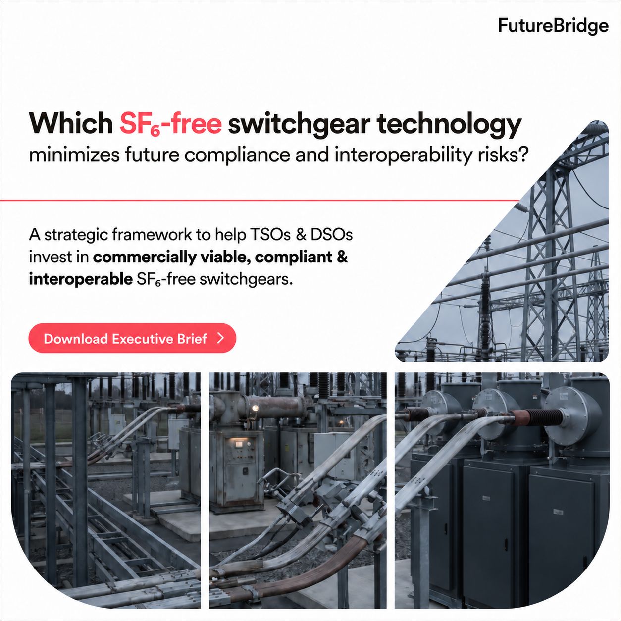 FutureBridge ad