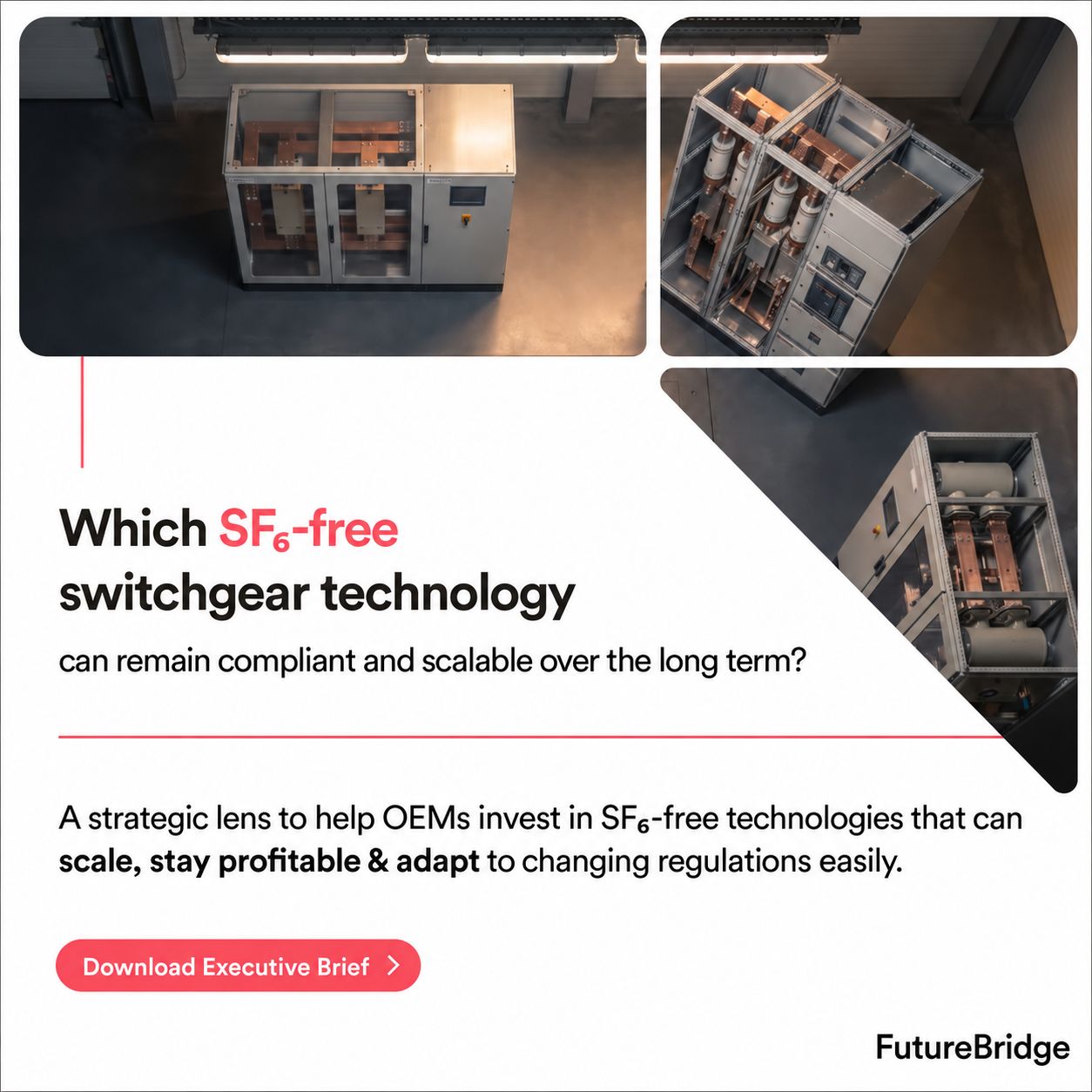 FutureBridge ad