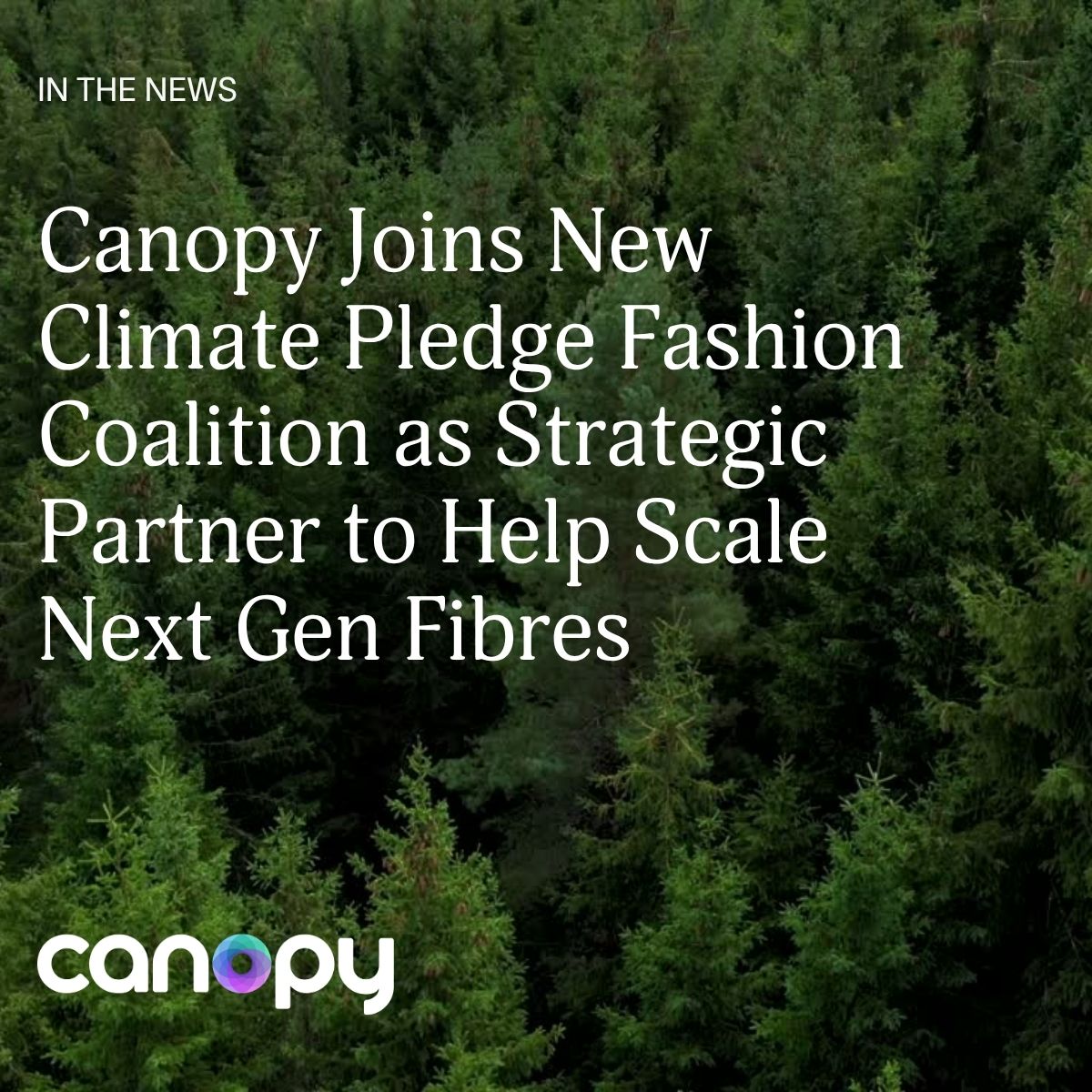 Canopy ad