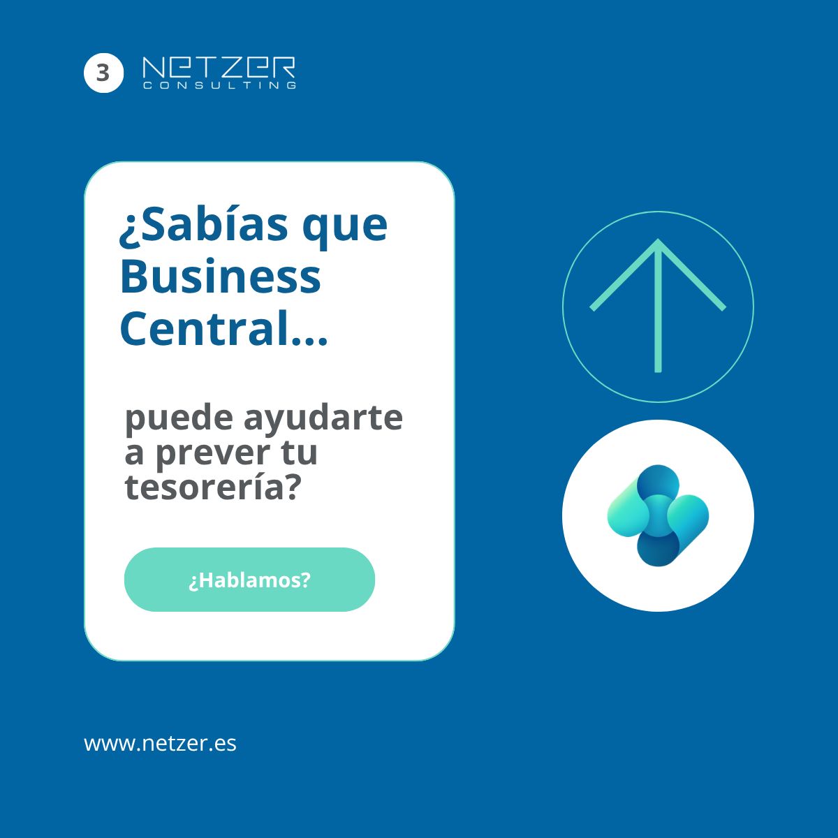 Netzer Consulting ad