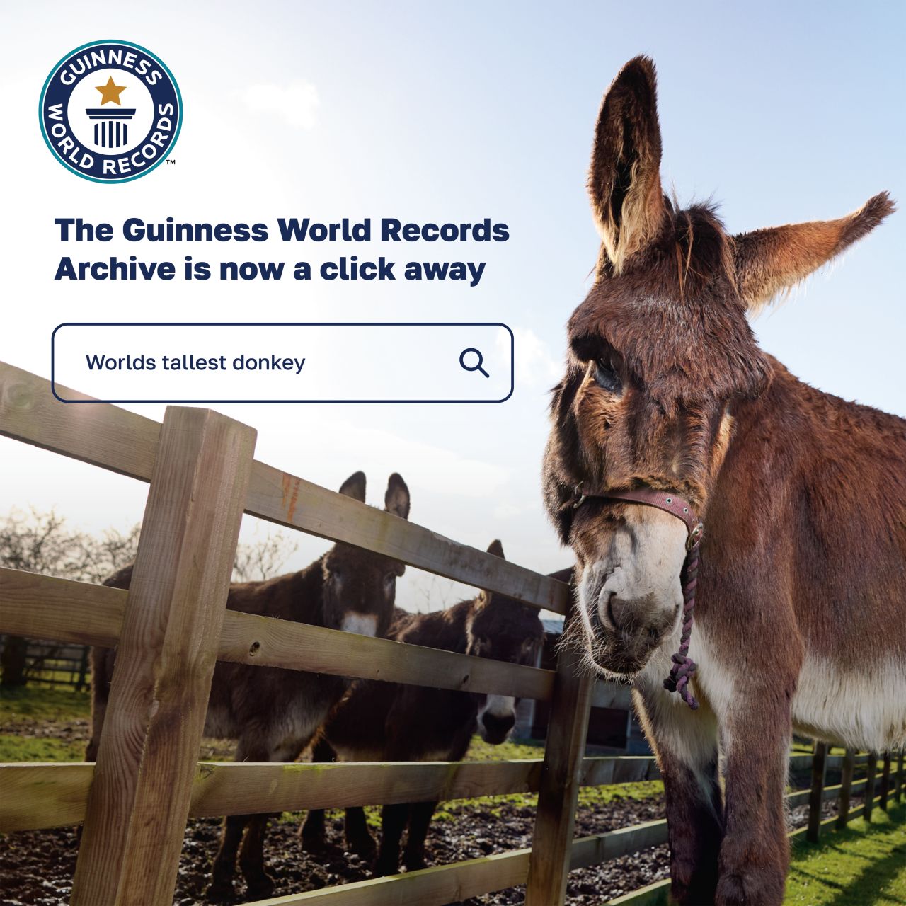 Guinness World Records ad