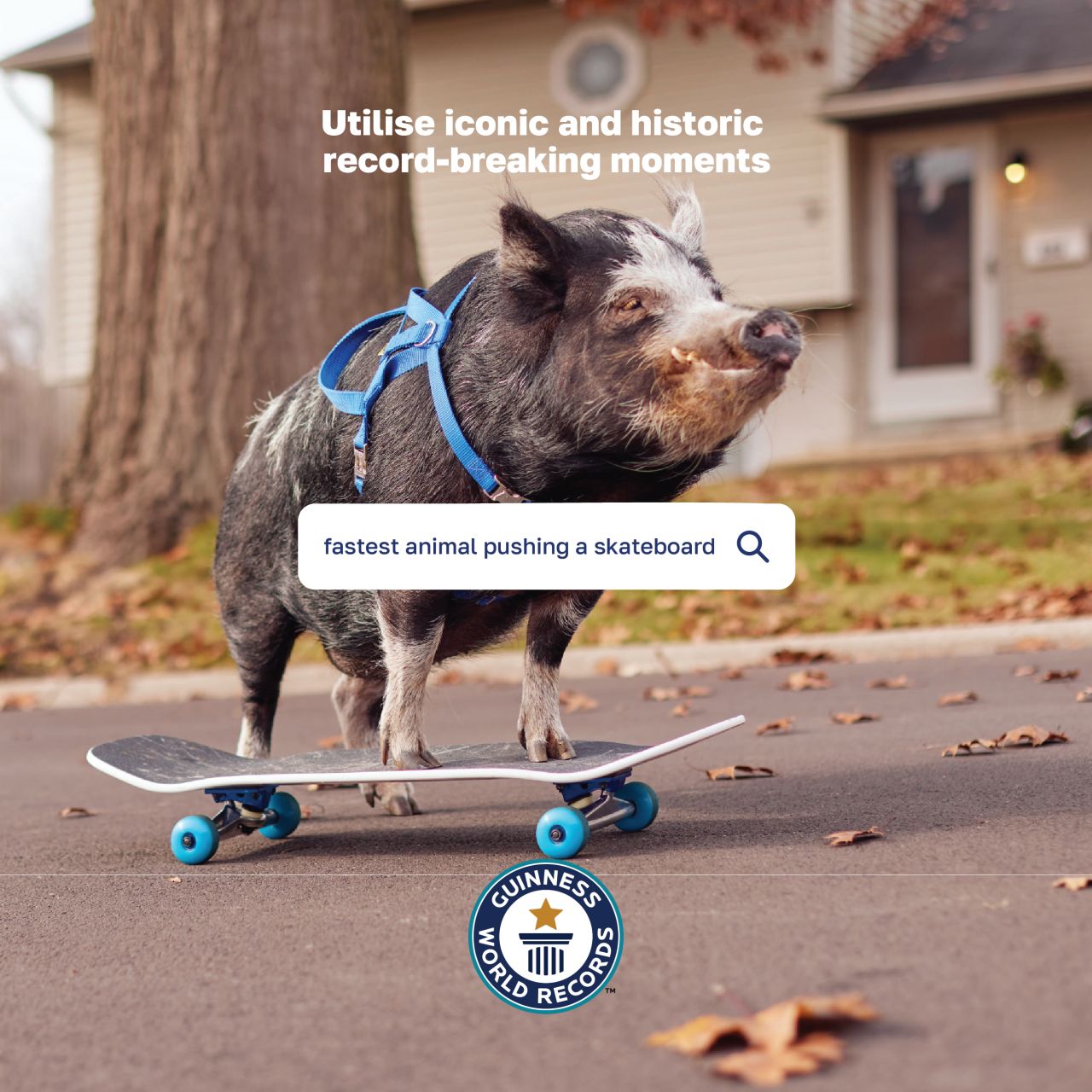 Guinness World Records ad