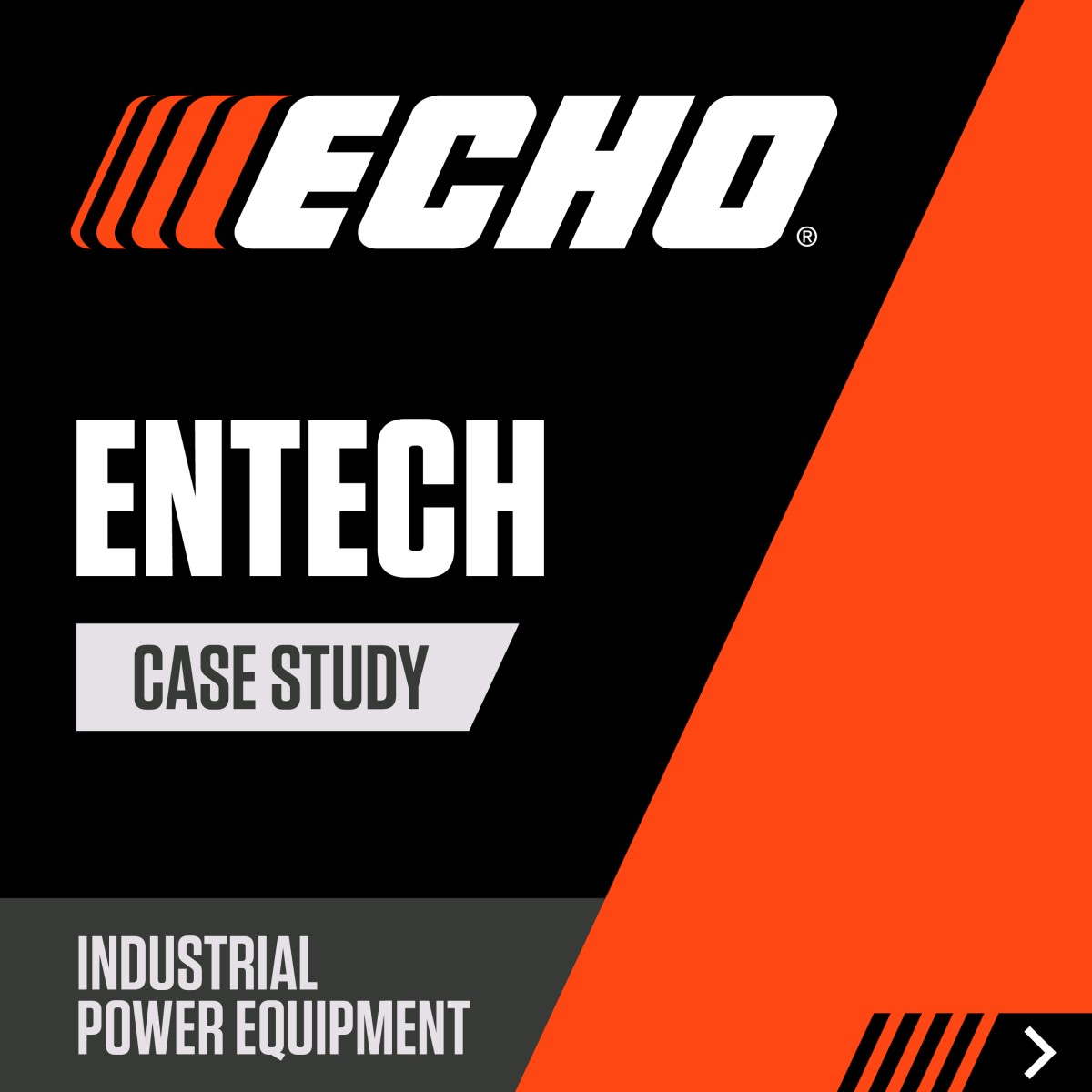 ECHO Incorporated ad