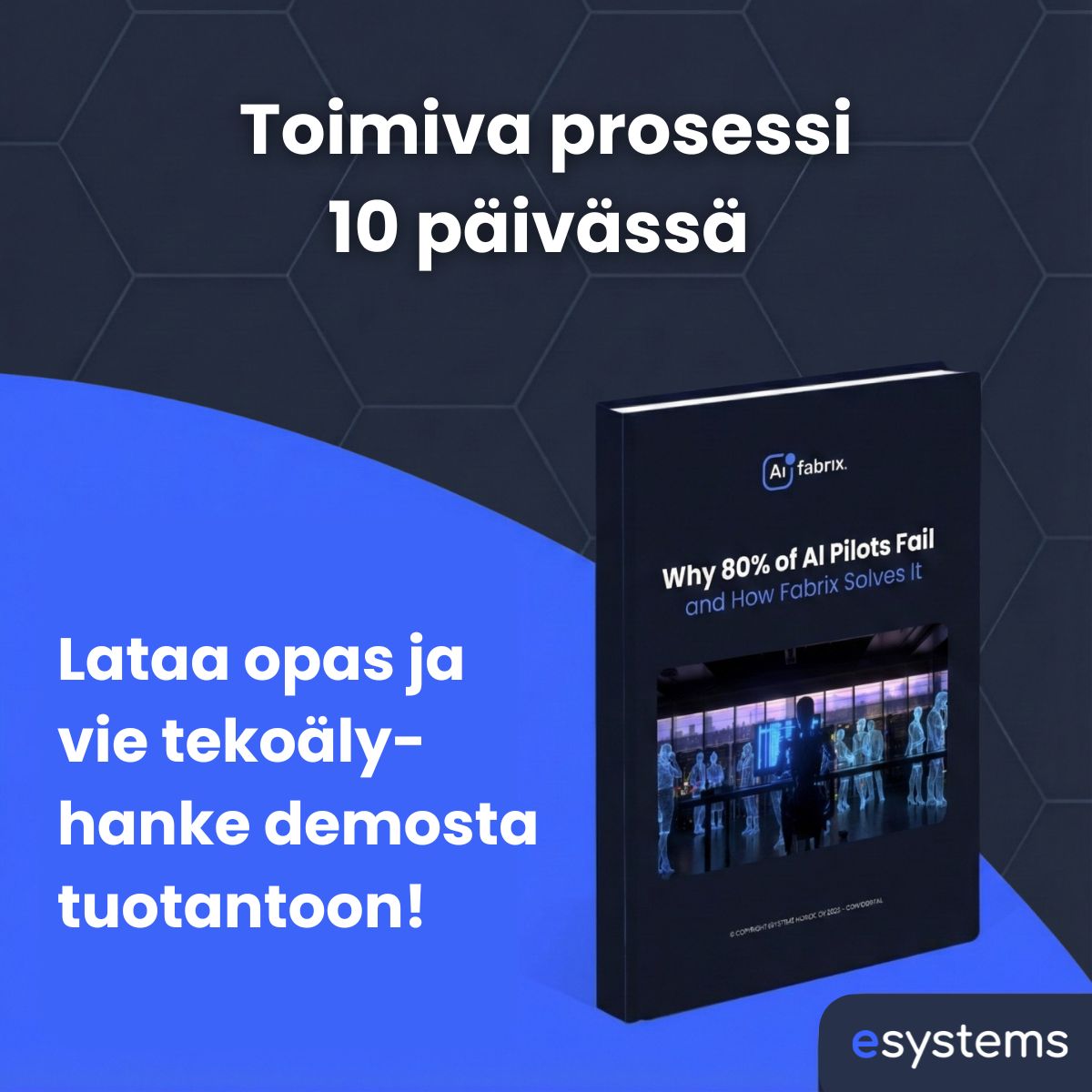 eSystems Nordic ad