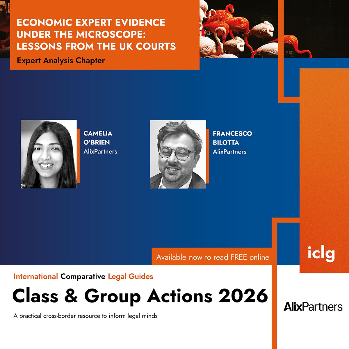 Global Legal Group ad