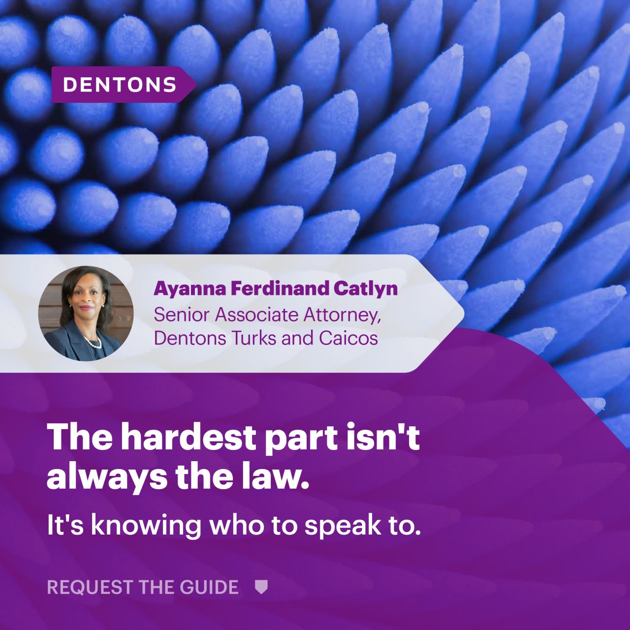Dentons in the Turks and Caicos Islands (TCI) ad