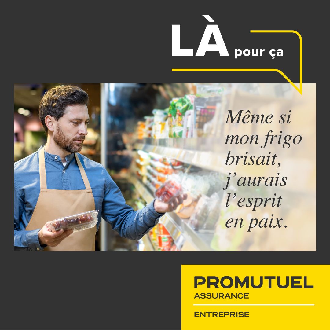 Promutuel Assurance ad