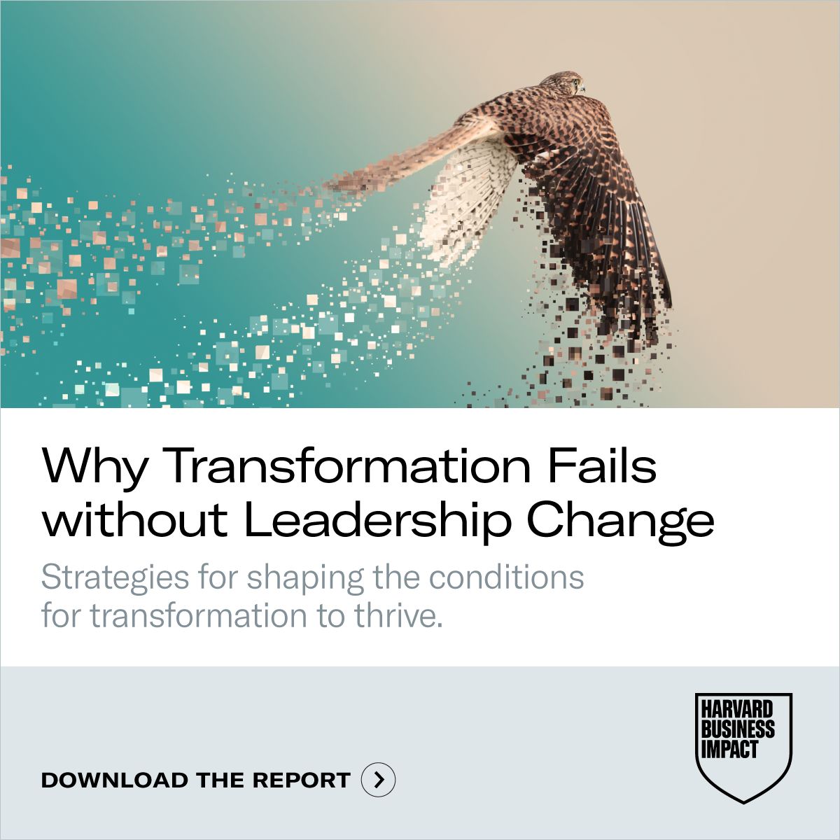 Harvard Business Impact Enterprise ad