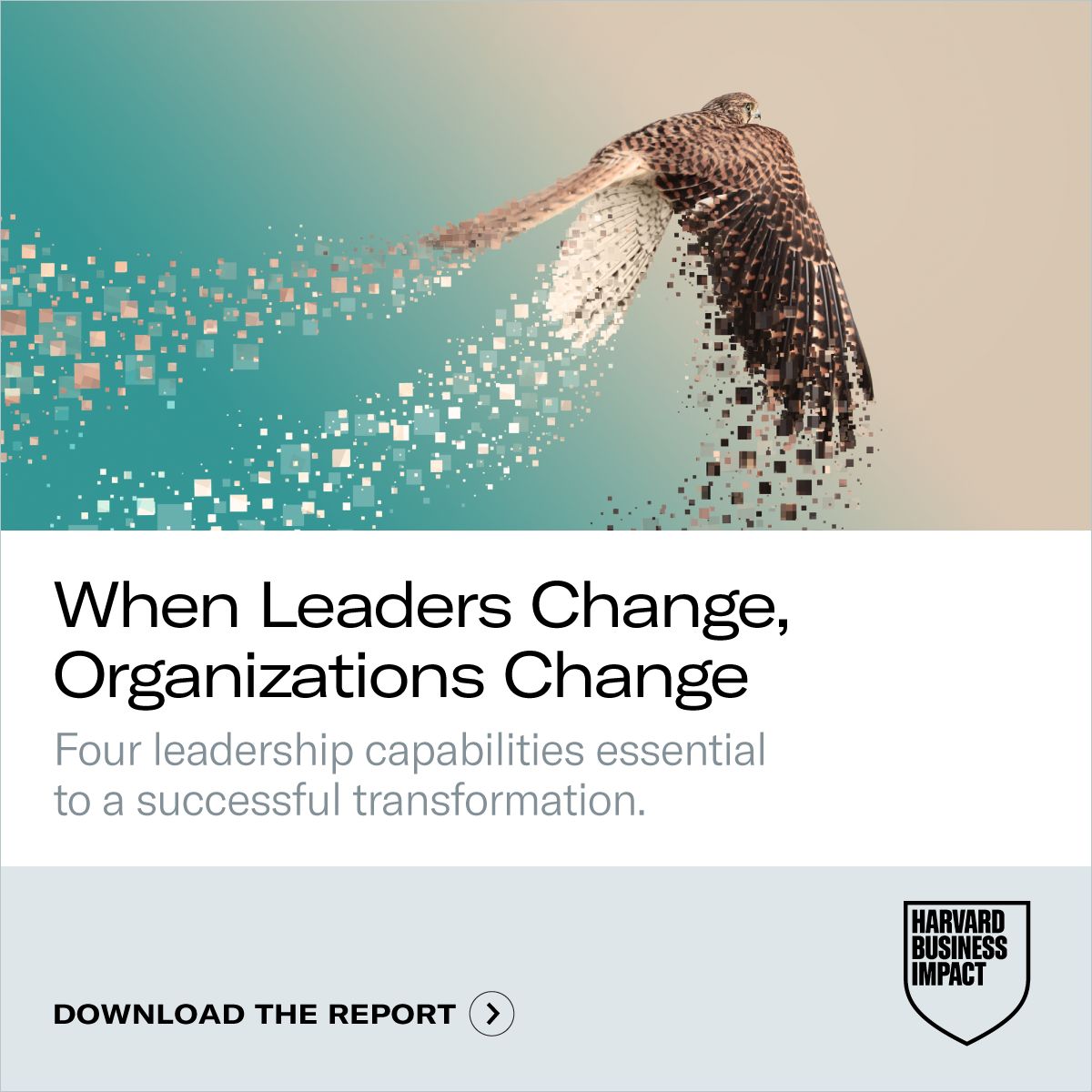 Harvard Business Impact Enterprise ad