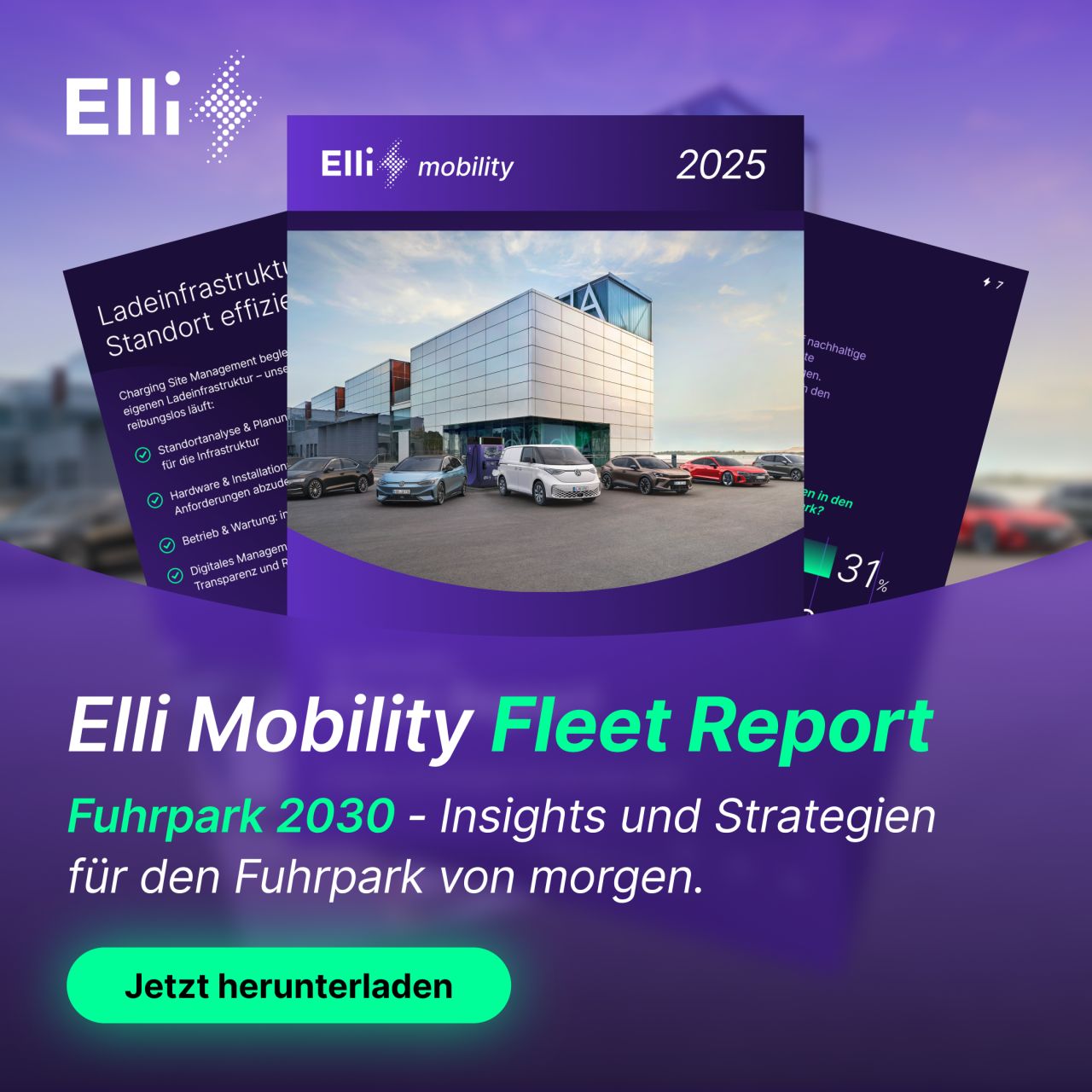 Elli ad