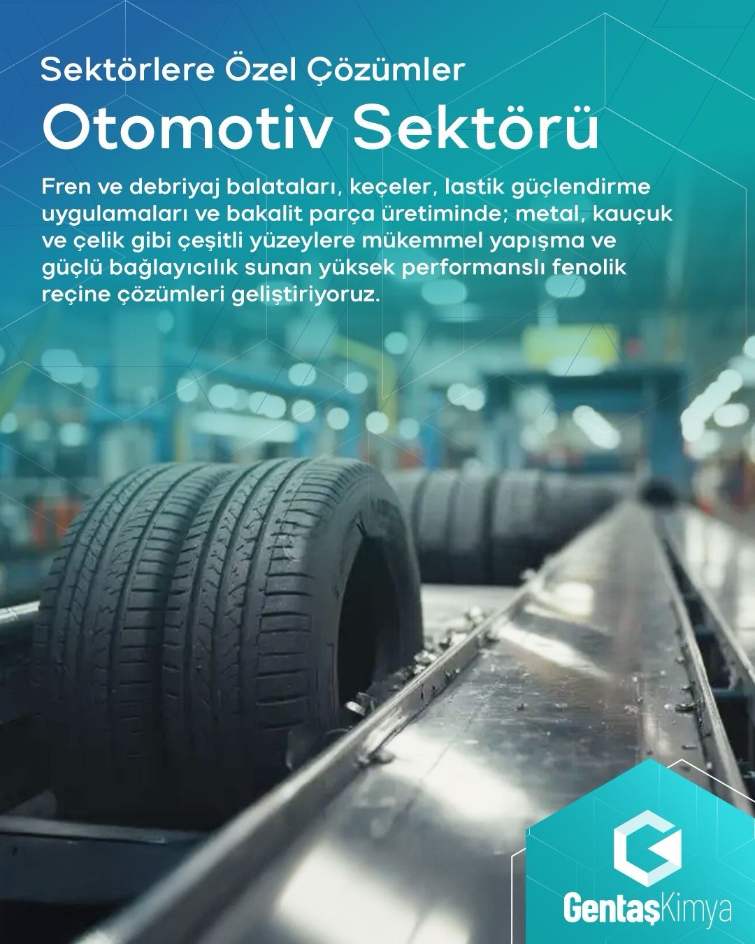 Gentaş Kimya ad