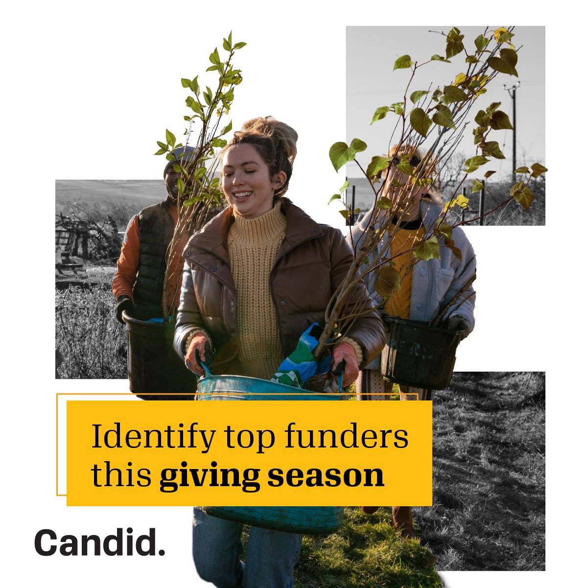 Candid ad
