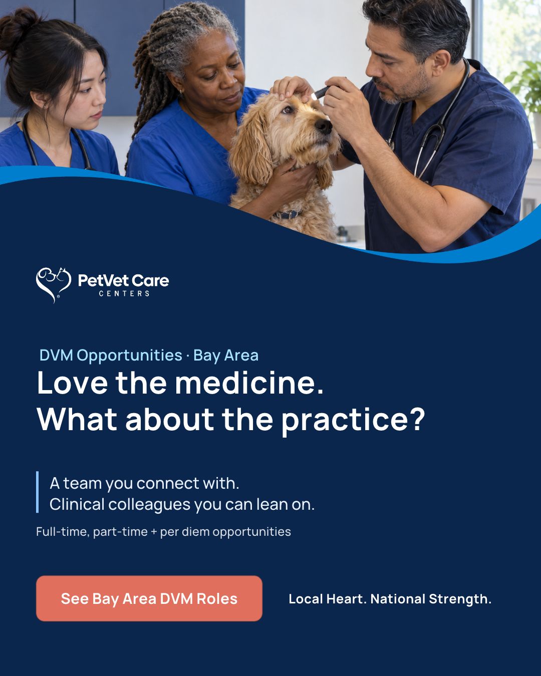 PetVet Care Centers ad
