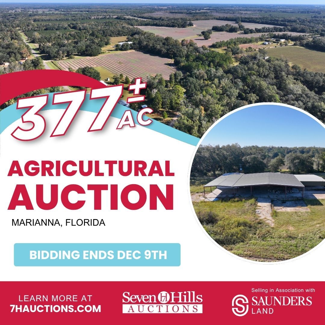 Seven Hills Auctions ad