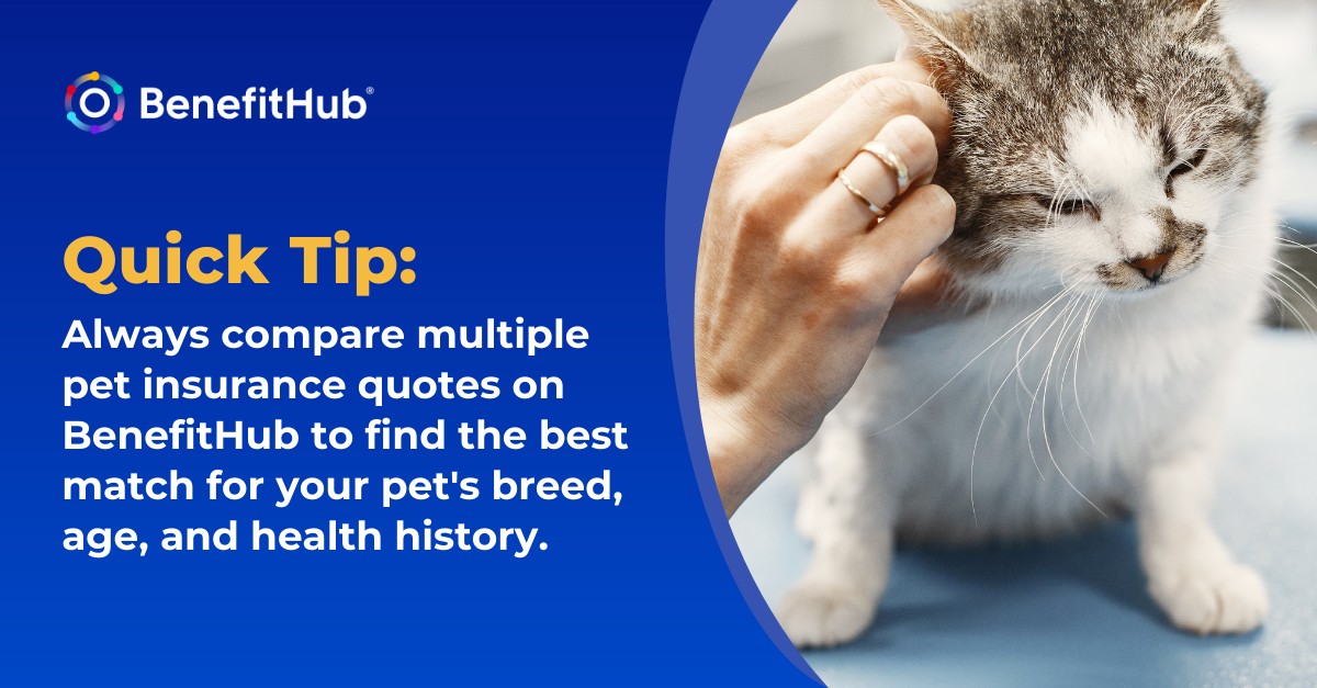 BenefitHub ad