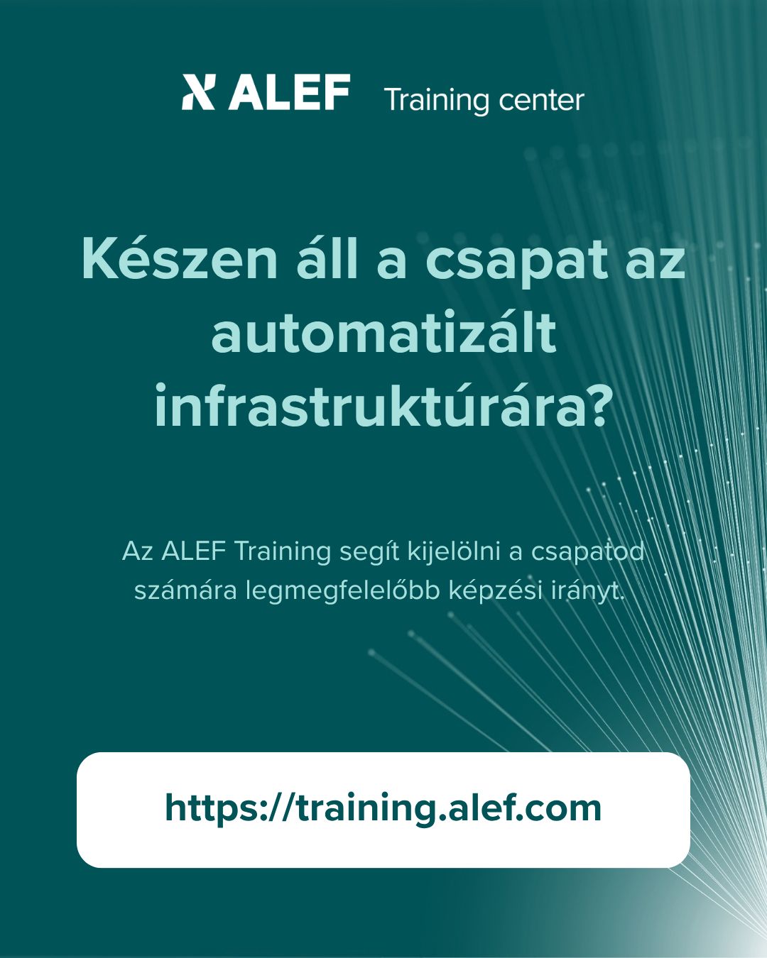 ALEF Distribution HU ad