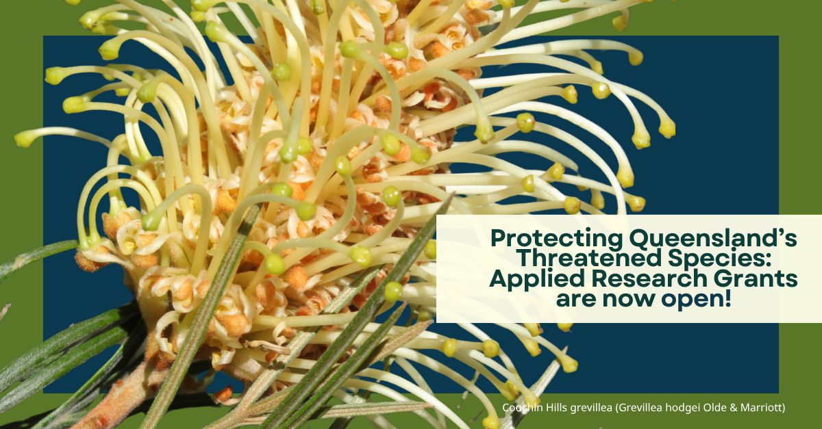 Department of the Environment, Tourism, Science and Innovation ad