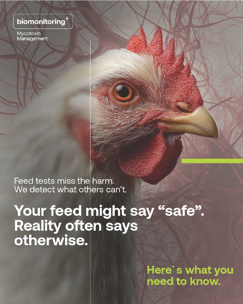 Innovad Group ad