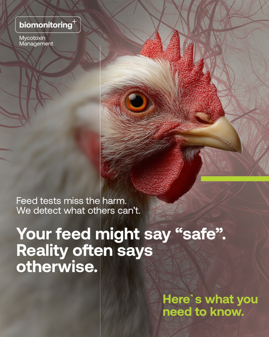 Innovad Group ad