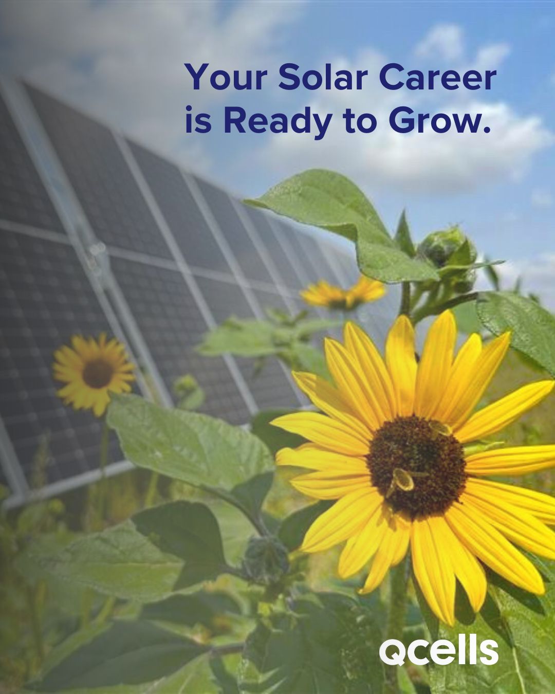 Qcells EPC ad