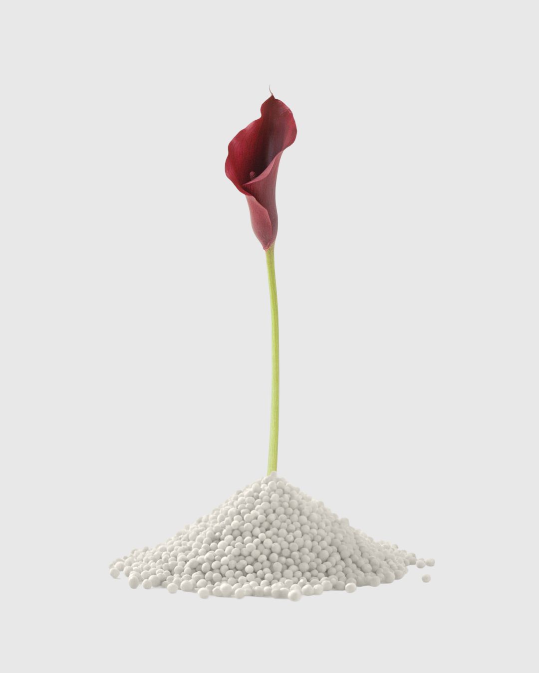 Balena ad