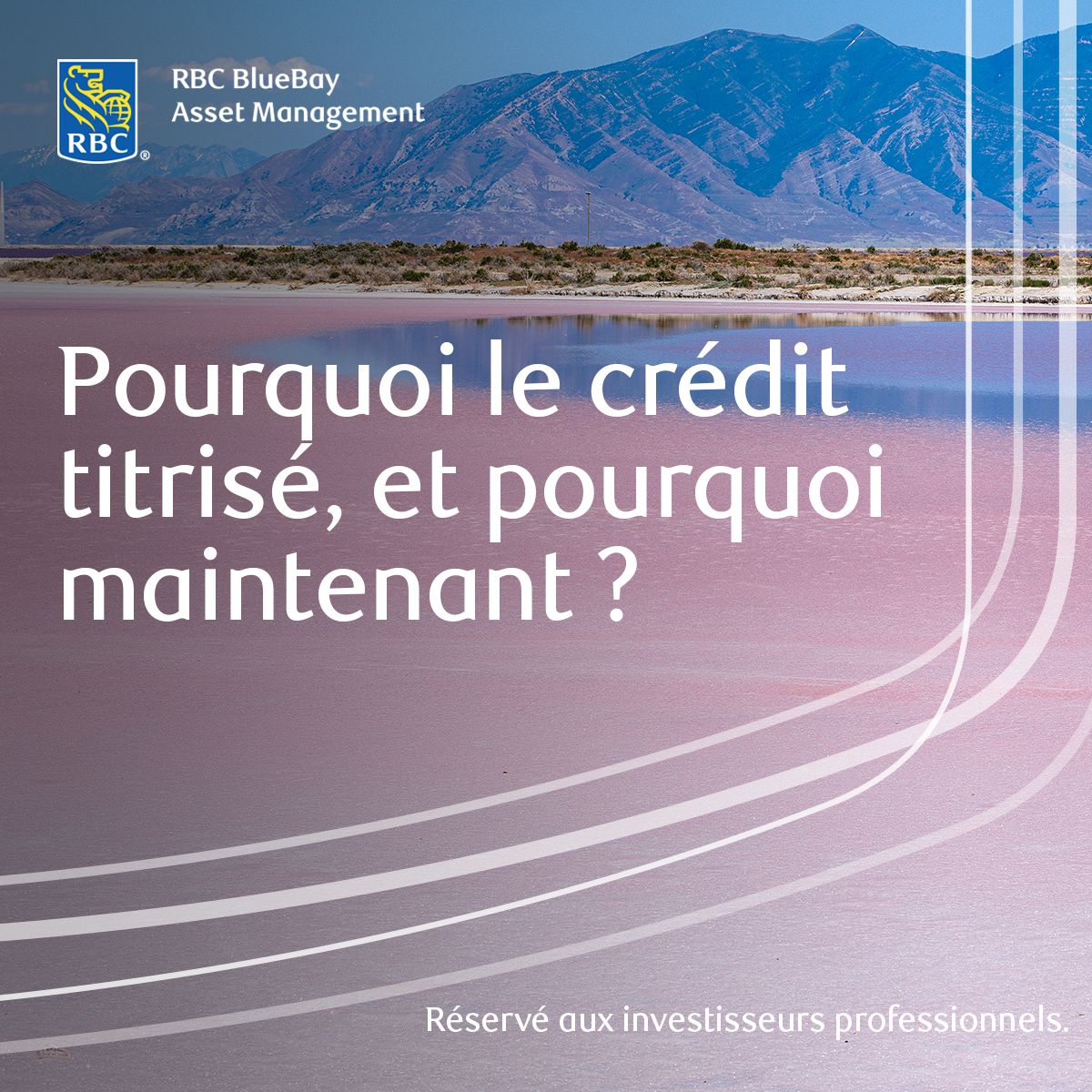 RBC BlueBay Asset Management ad