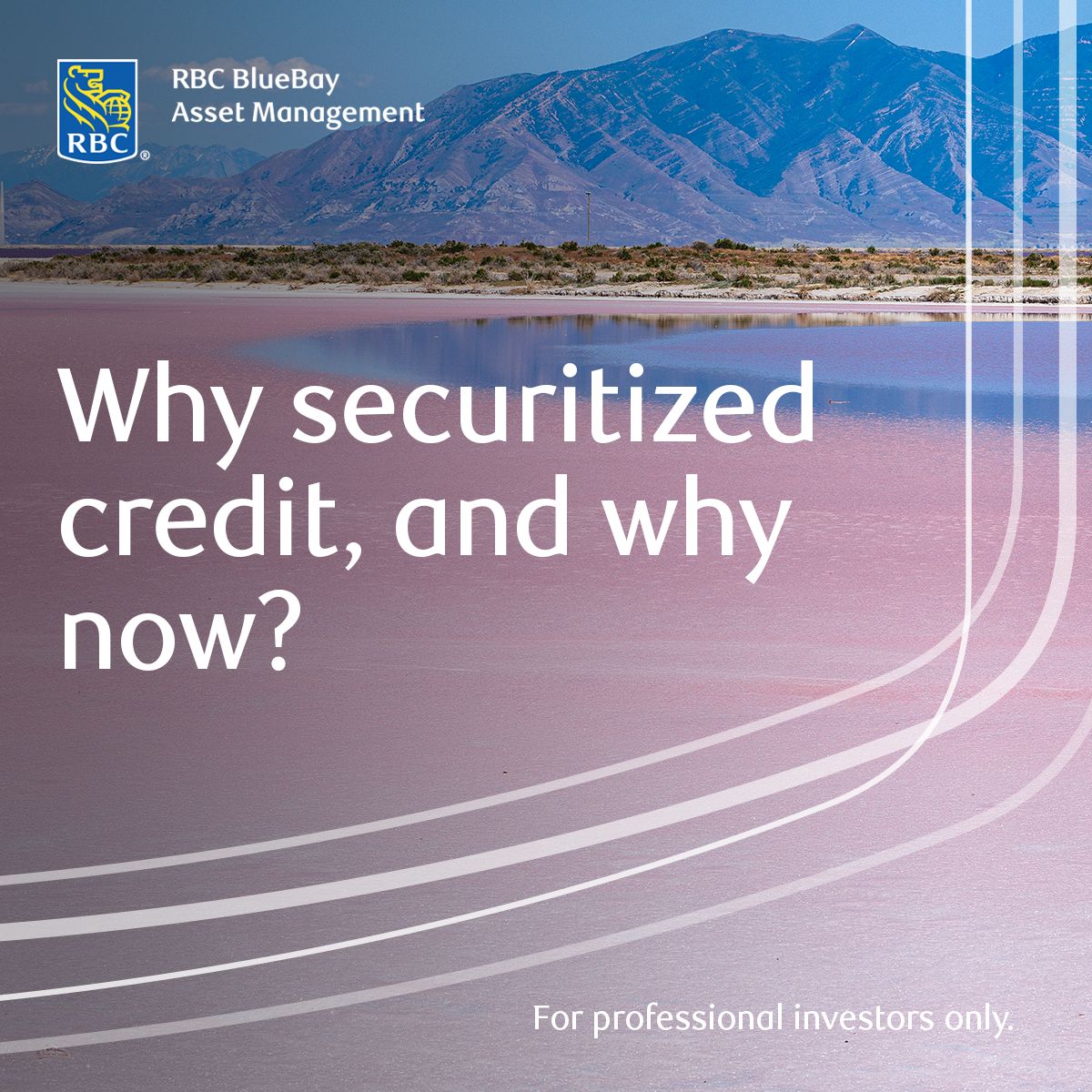 RBC BlueBay Asset Management ad