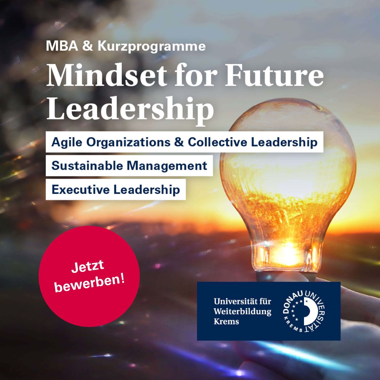 Danube Business School - Universität für Weiterbildung Krems ad