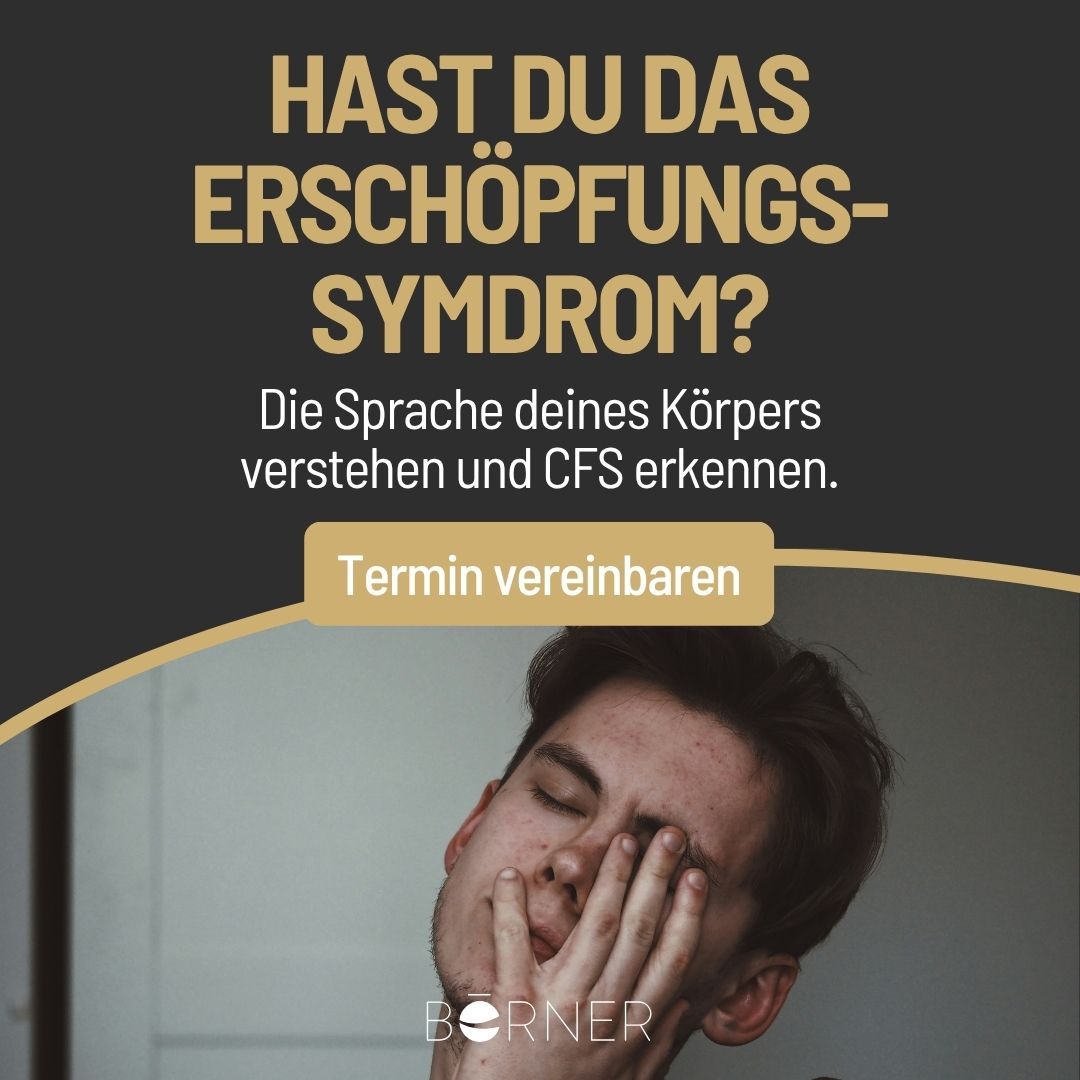 Börner Lebenswerk GmbH ad