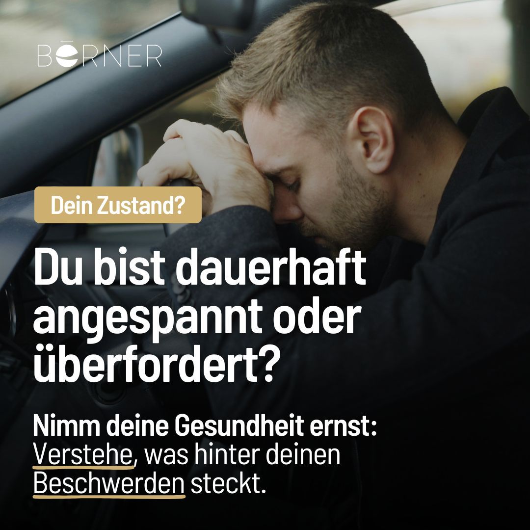 Börner Lebenswerk GmbH ad
