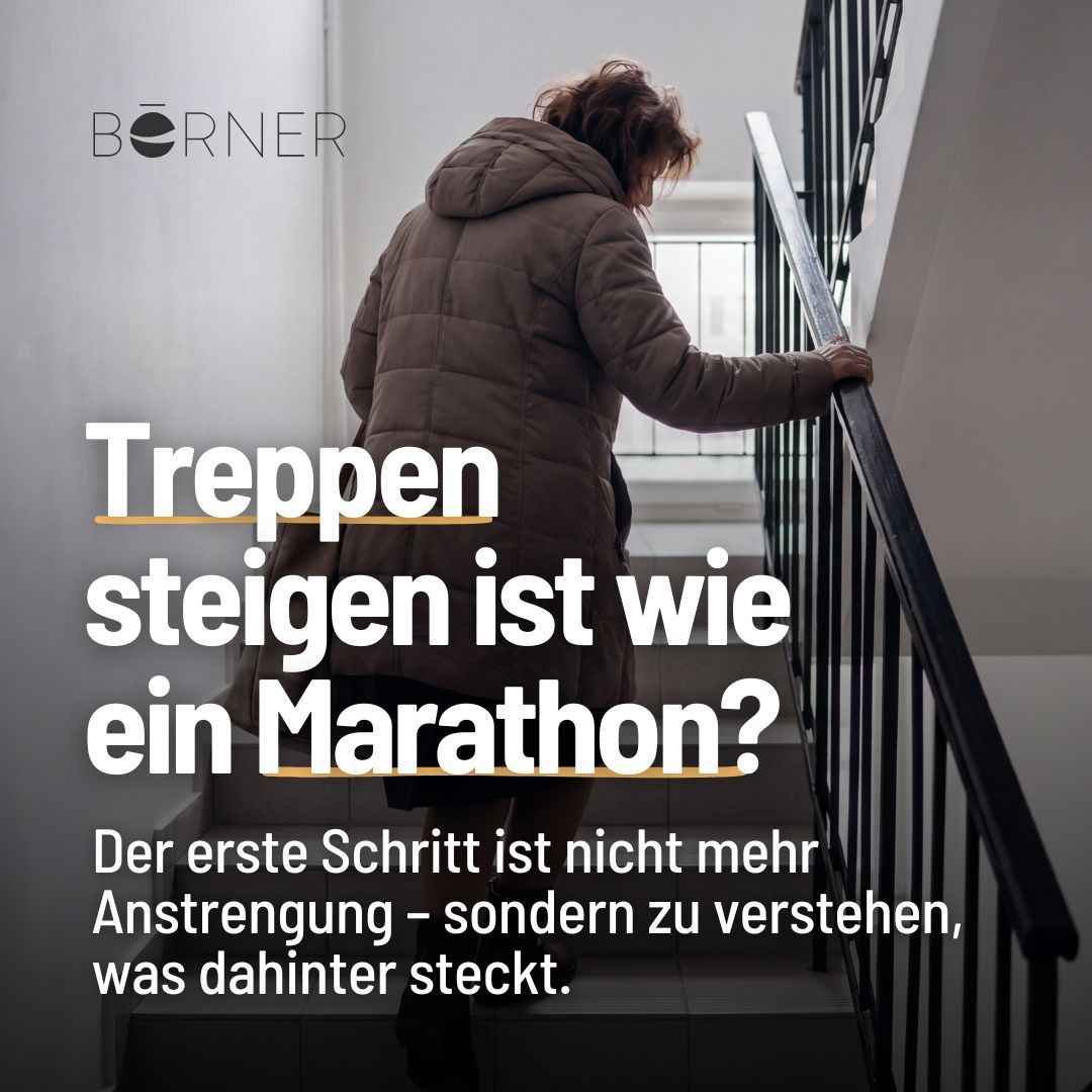 Börner Lebenswerk GmbH ad