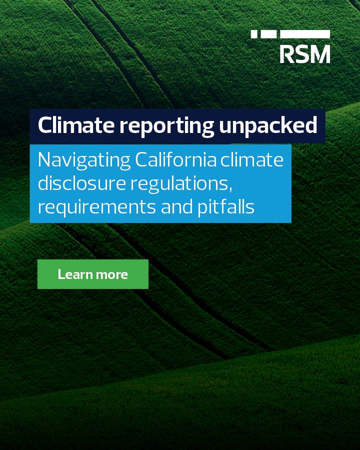 RSM US LLP ad
