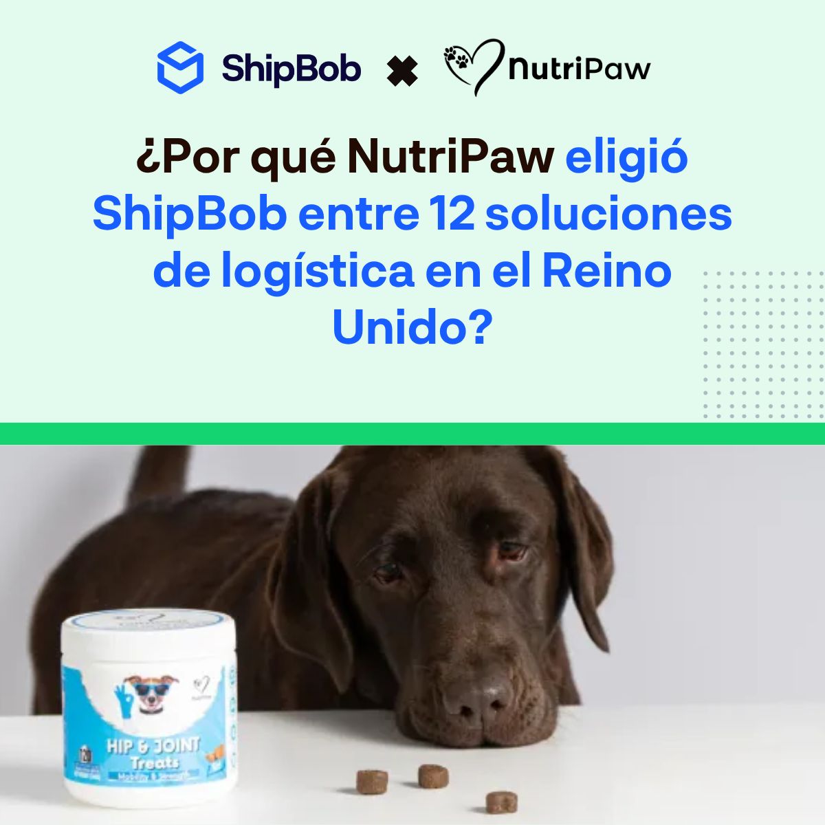 ShipBob ad