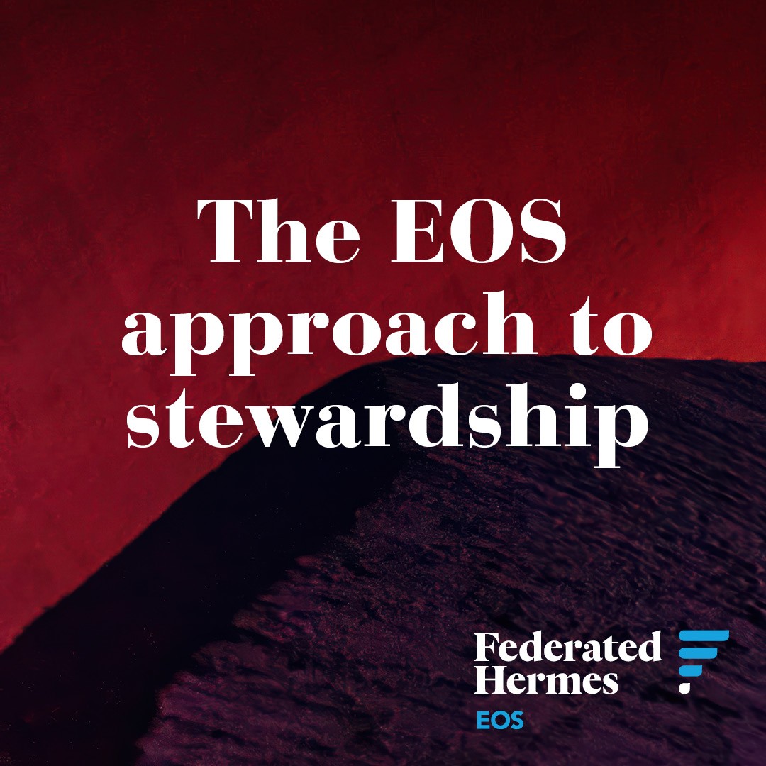 Federated Hermes Limited ad